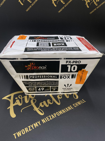 Bateria PX-PRO 10N