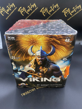 Bateria Viking ZBC206