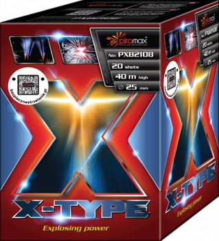 Bateria X-type PXB2108