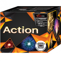 BATERIA ACTION PXB2122