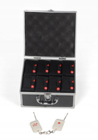 SYSTEM ZDALNEGO ODPALANIA